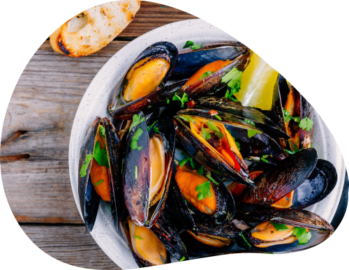 mollusks